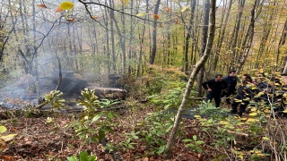 Sakarya’da devrilerek yangın çıkan traktörün altında kalan sürücü öldü