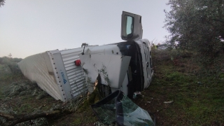 Orhangazi’de zeytinliğe devrilen tırın sürücüsü yaralandı