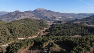 Sakarya’da ormancılar yılbaşı öncesi çam nöbetinde