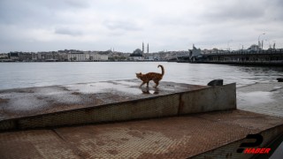 İstanbul'da hafta içi sakin geçiyor