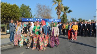 Ayvalık 17. Uluslararası Zeytin Hasat Festivali başladı